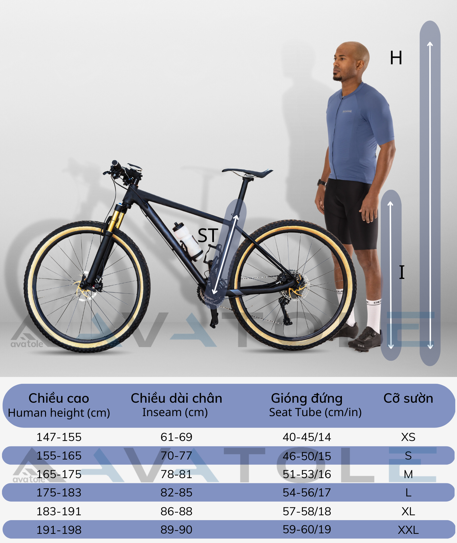 Kích thước xe đạp địa hình Kích thước xe đạp địa hình