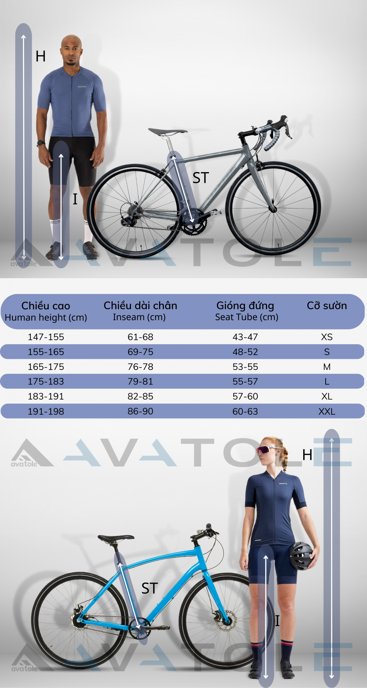 Kích thước xe đạp đua và xe đạp touring Kích thước xe đạp đua và xe đạp touring