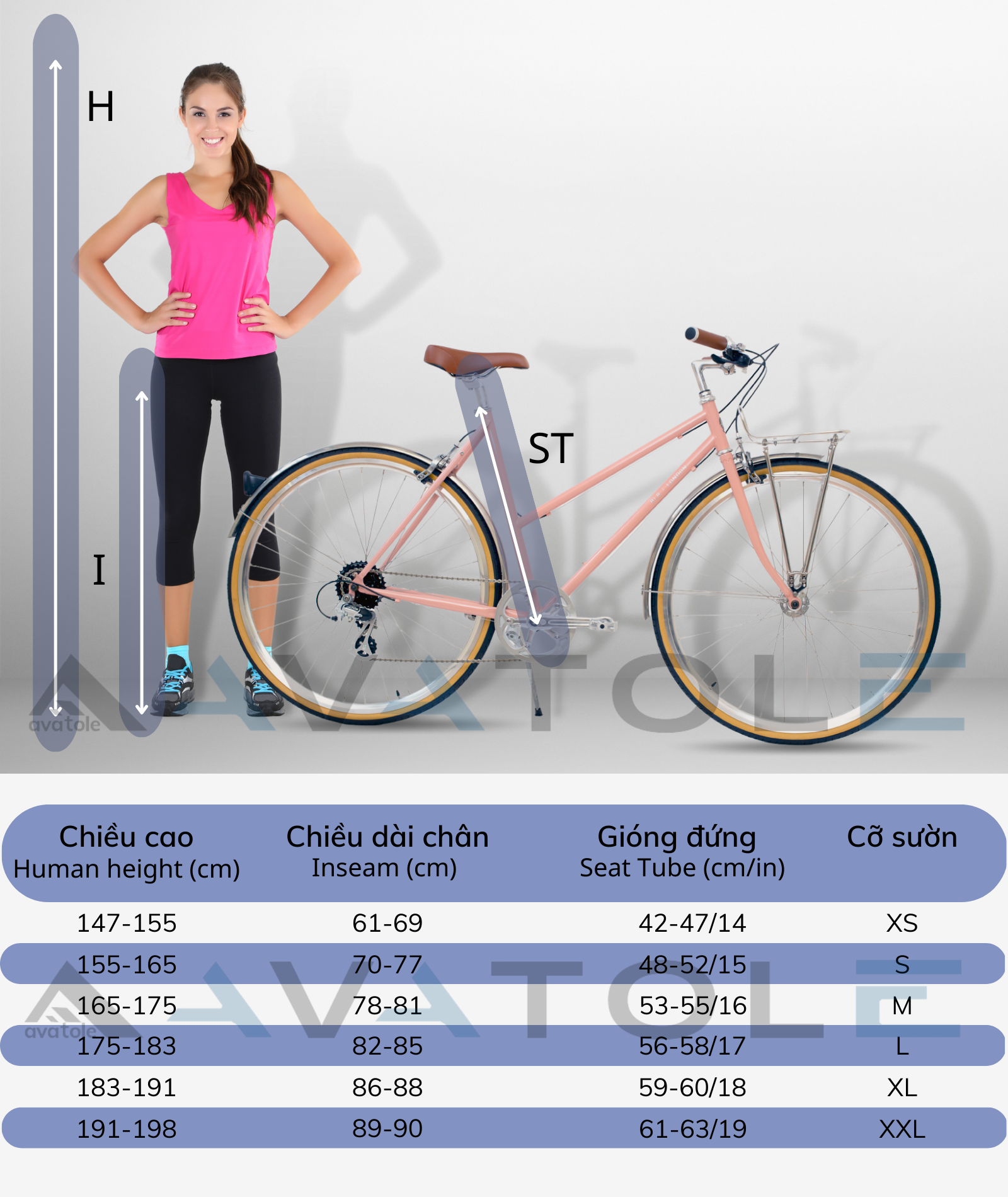 Kích thước xe đạp thành phố Kích thước xe đạp thành phố