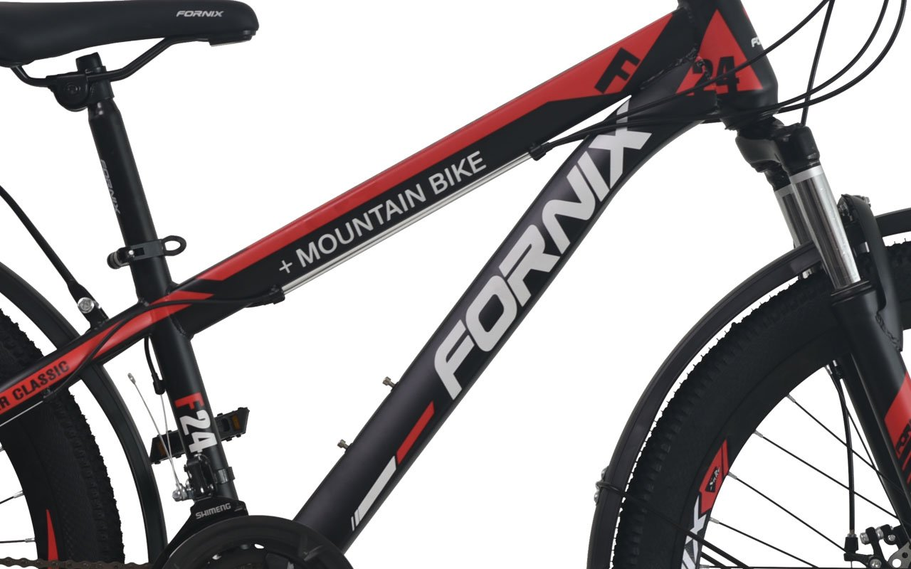 CHI TIẾT FORNIX F24