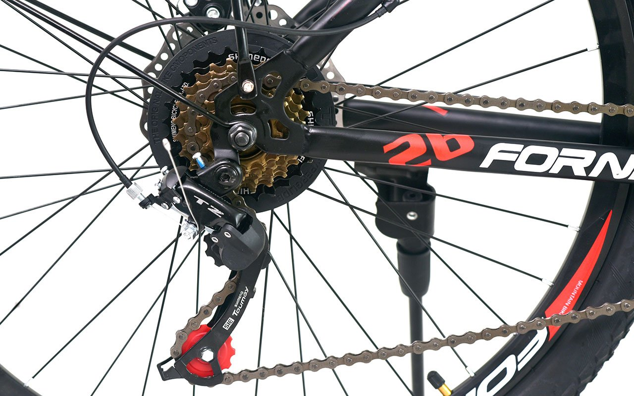 CHI TIẾT FORNIX F26 CHI TIẾT FORNIX F26