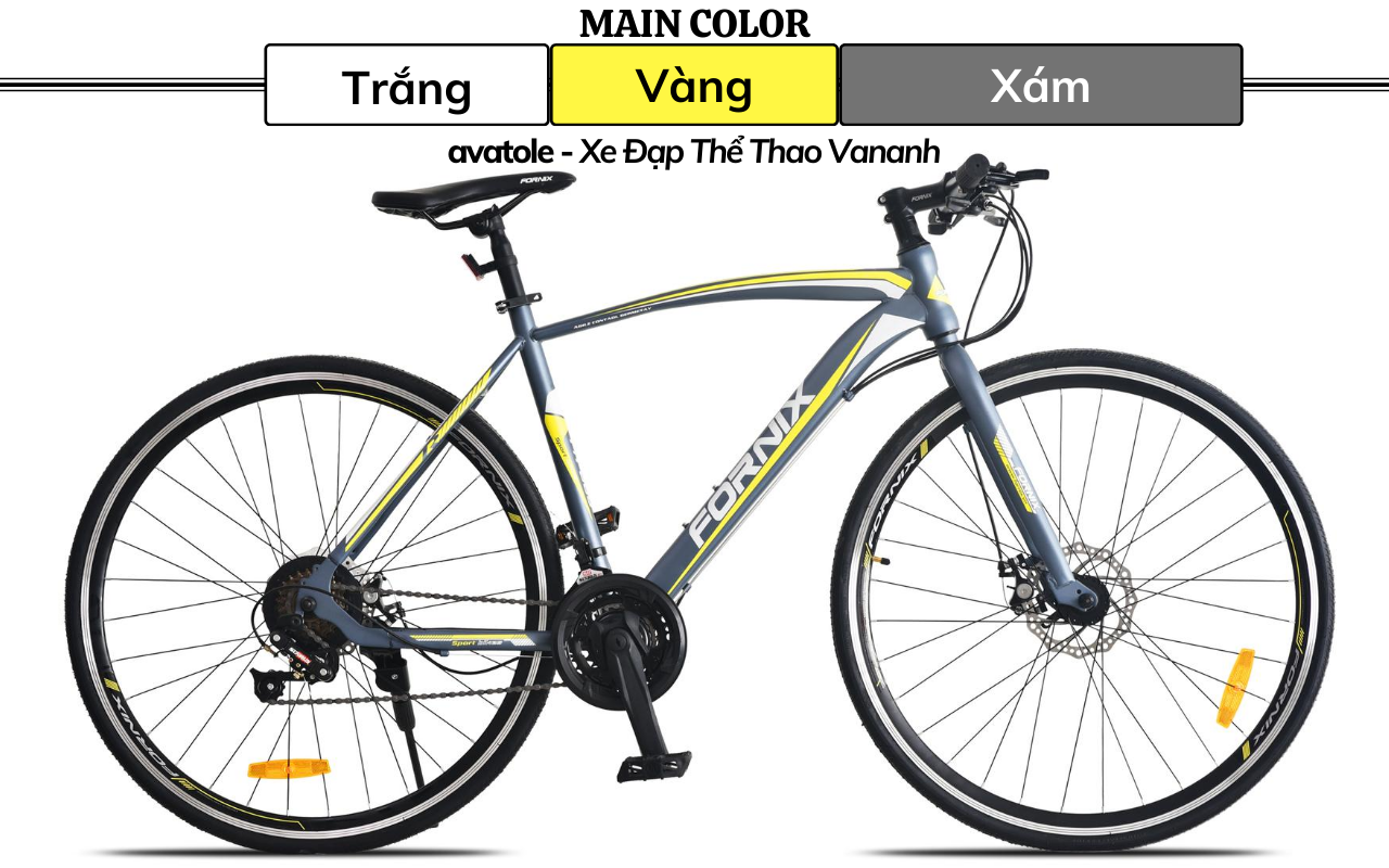 MÀU TRẮNG VÀNG XÁM