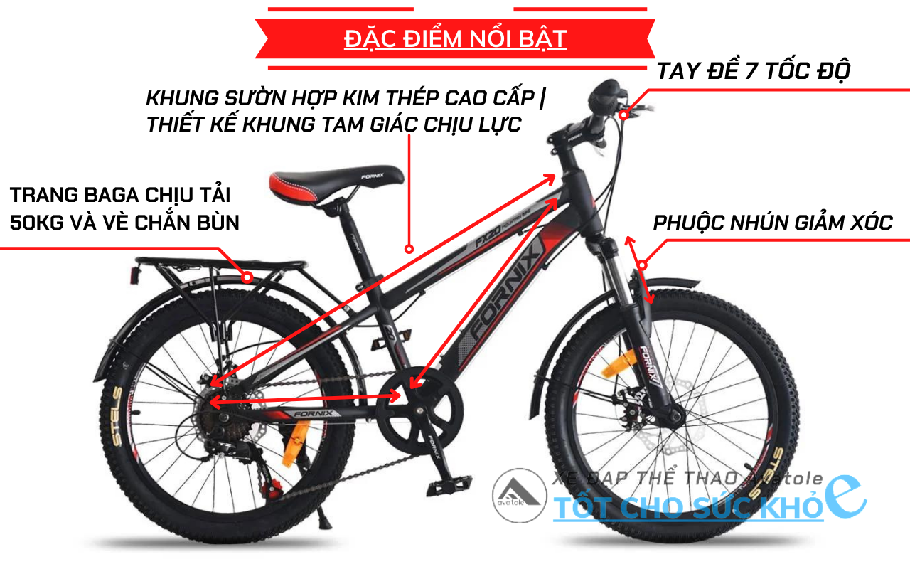 Đặc điểm nổi bật Đặc điểm nổi bật