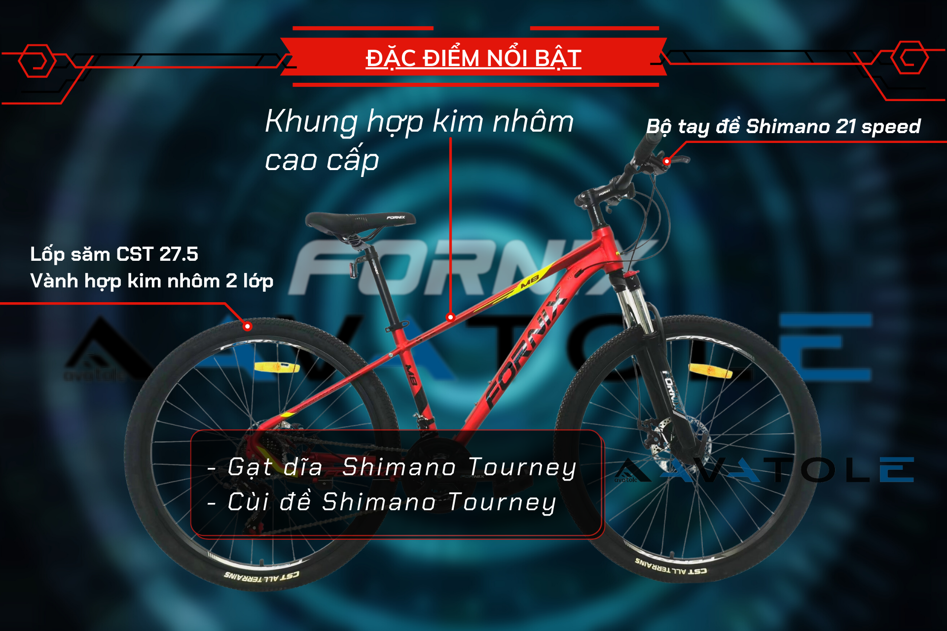 ĐẶC ĐIỂM NỔI BẬT ĐẶC ĐIỂM NỔI BẬT