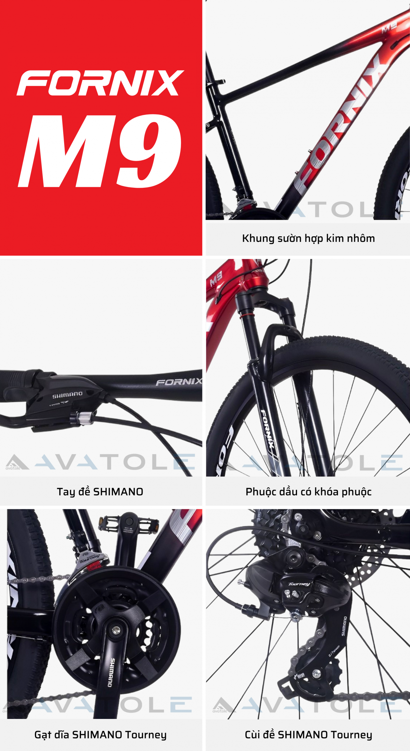 Đặc điểm nổi bật Đặc điểm nổi bật