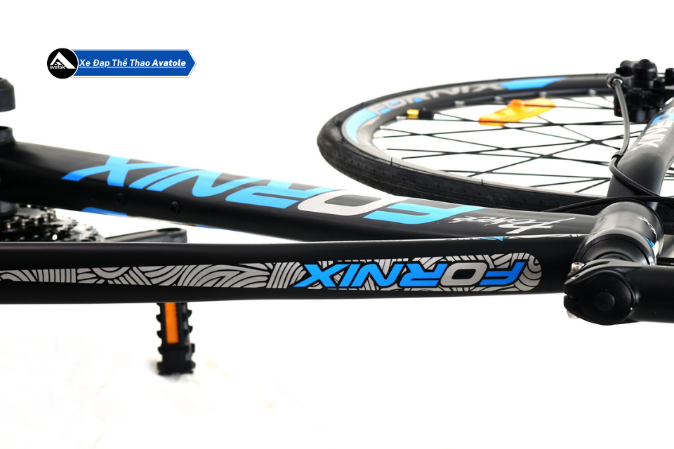 CHI TIẾT FORNIX R305