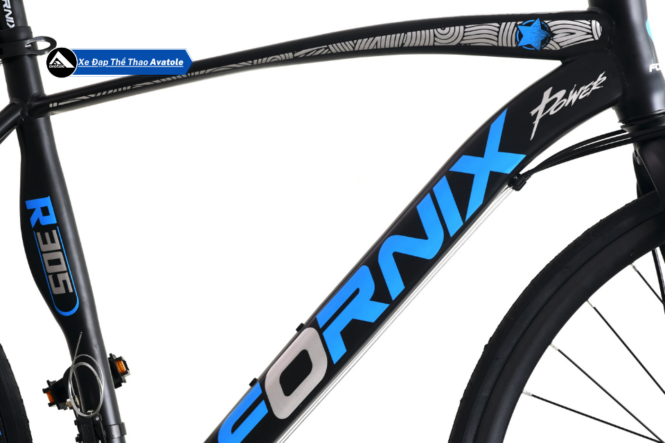 CHI TIẾT FORNIX R305