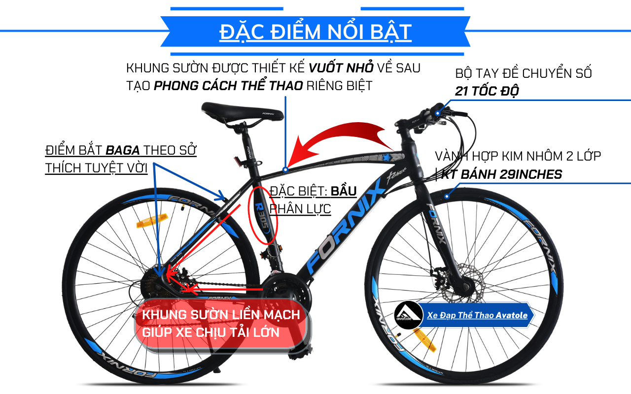ĐẶC ĐIỂM NỔI BẬT FORNIX R305