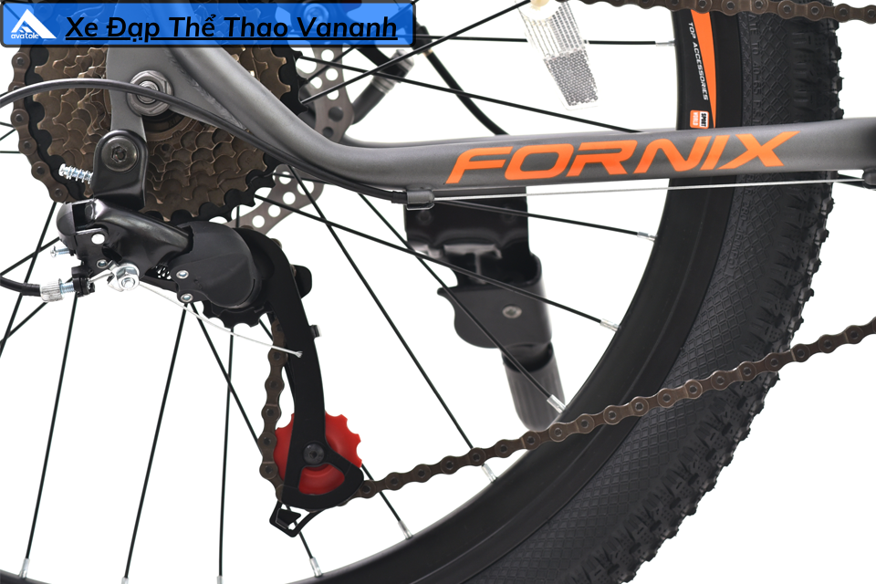 CHI TIẾT FORNIX RACER CHI TIẾT FORNIX RACER