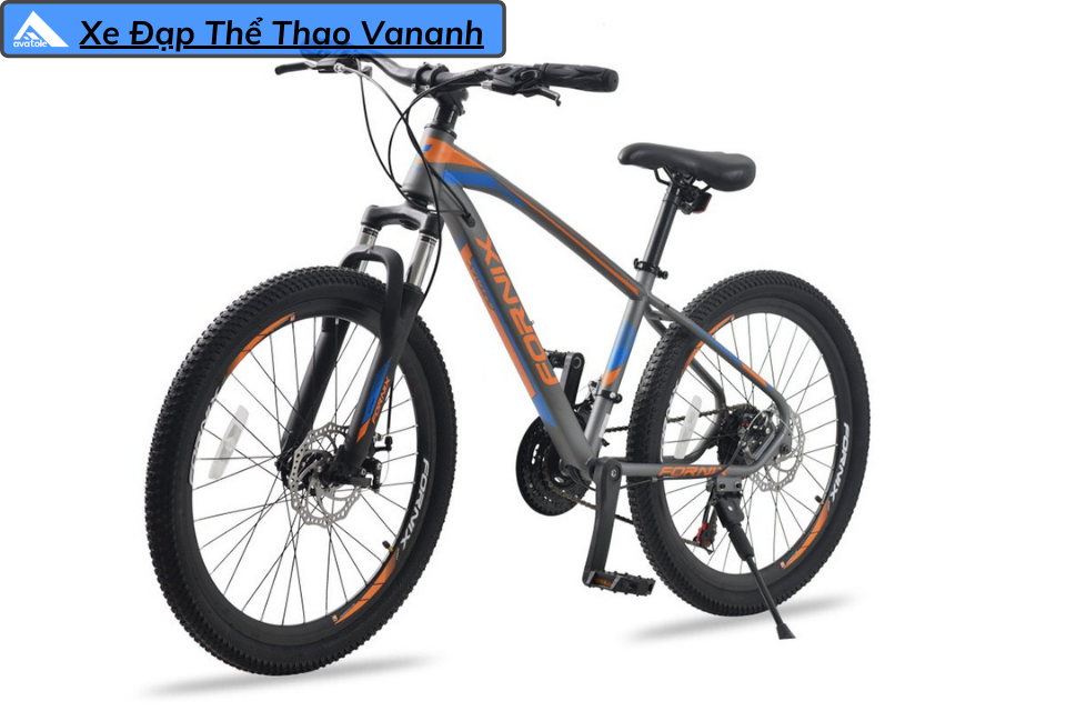 CHI TIẾT FORNIX RACER CHI TIẾT FORNIX RACER