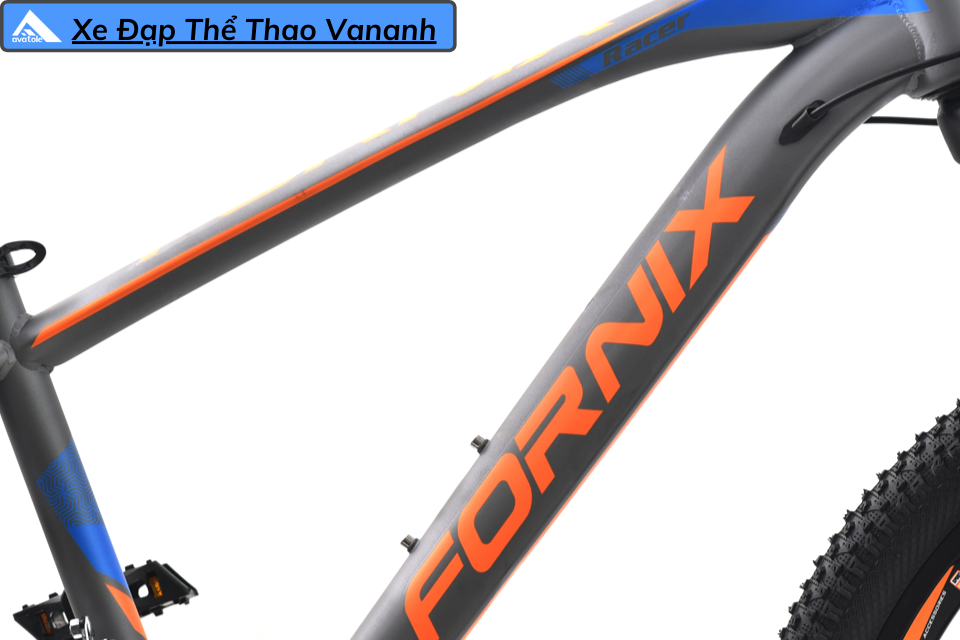 CHI TIẾT FORNIX RACER CHI TIẾT FORNIX RACER