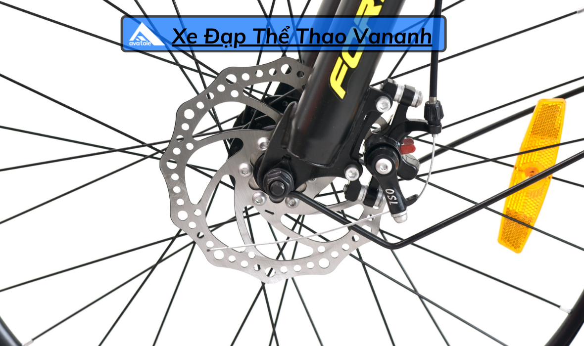 CHI TIẾT FORNIX X24 CHI TIẾT FORNIX X24