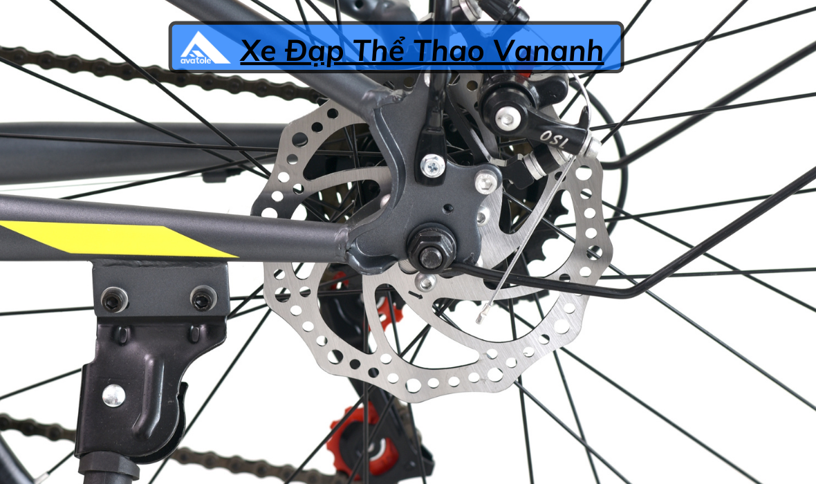 CHI TIẾT FORNIX X24 CHI TIẾT FORNIX X24