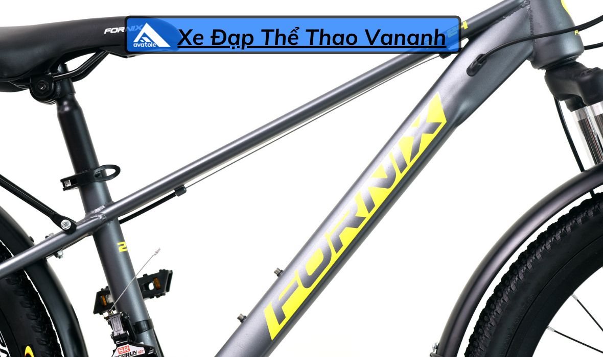 CHI TIẾT FORNIX X24 CHI TIẾT FORNIX X24