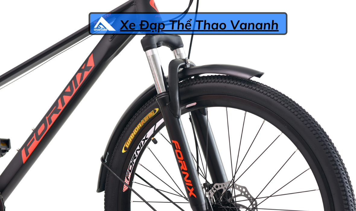 CHI TIẾT FORNIX X26 CHI TIẾT FORNIX X26
