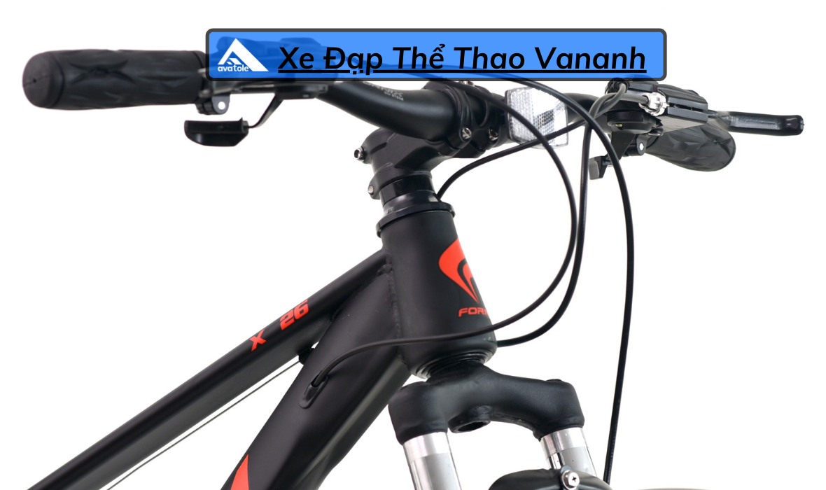 CHI TIẾT FORNIX X26 CHI TIẾT FORNIX X26