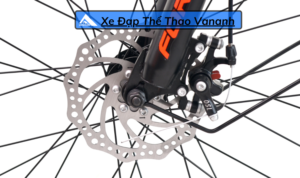 CHI TIẾT FORNIX X26 CHI TIẾT FORNIX X26