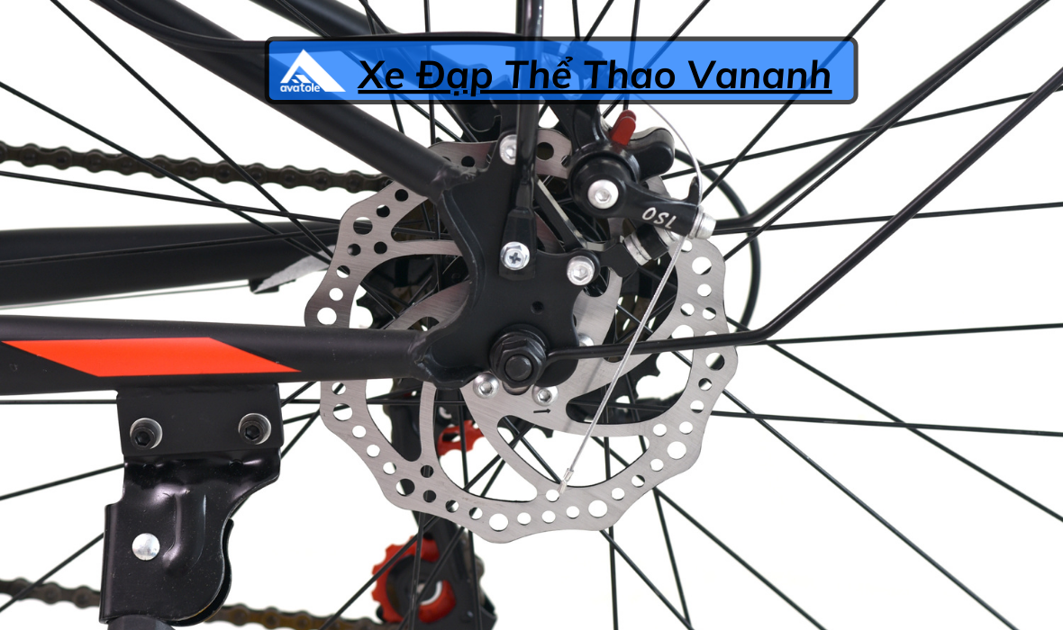 CHI TIẾT FORNIX X26 CHI TIẾT FORNIX X26