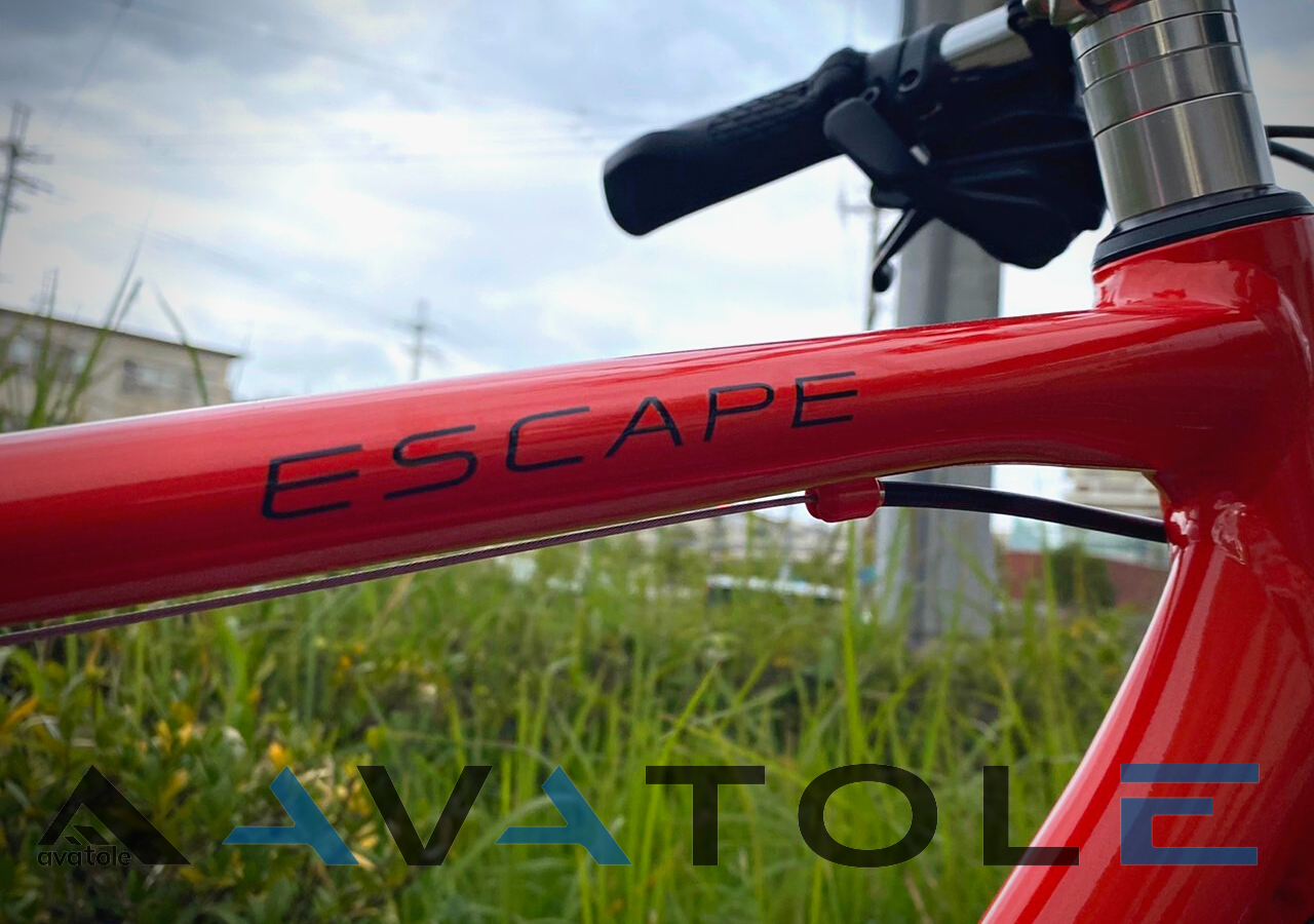 2022 Giant Escape R3-MS