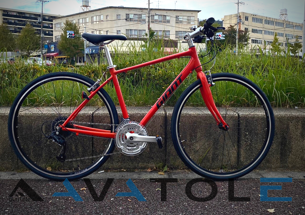 2022 Giant Escape R3-MS