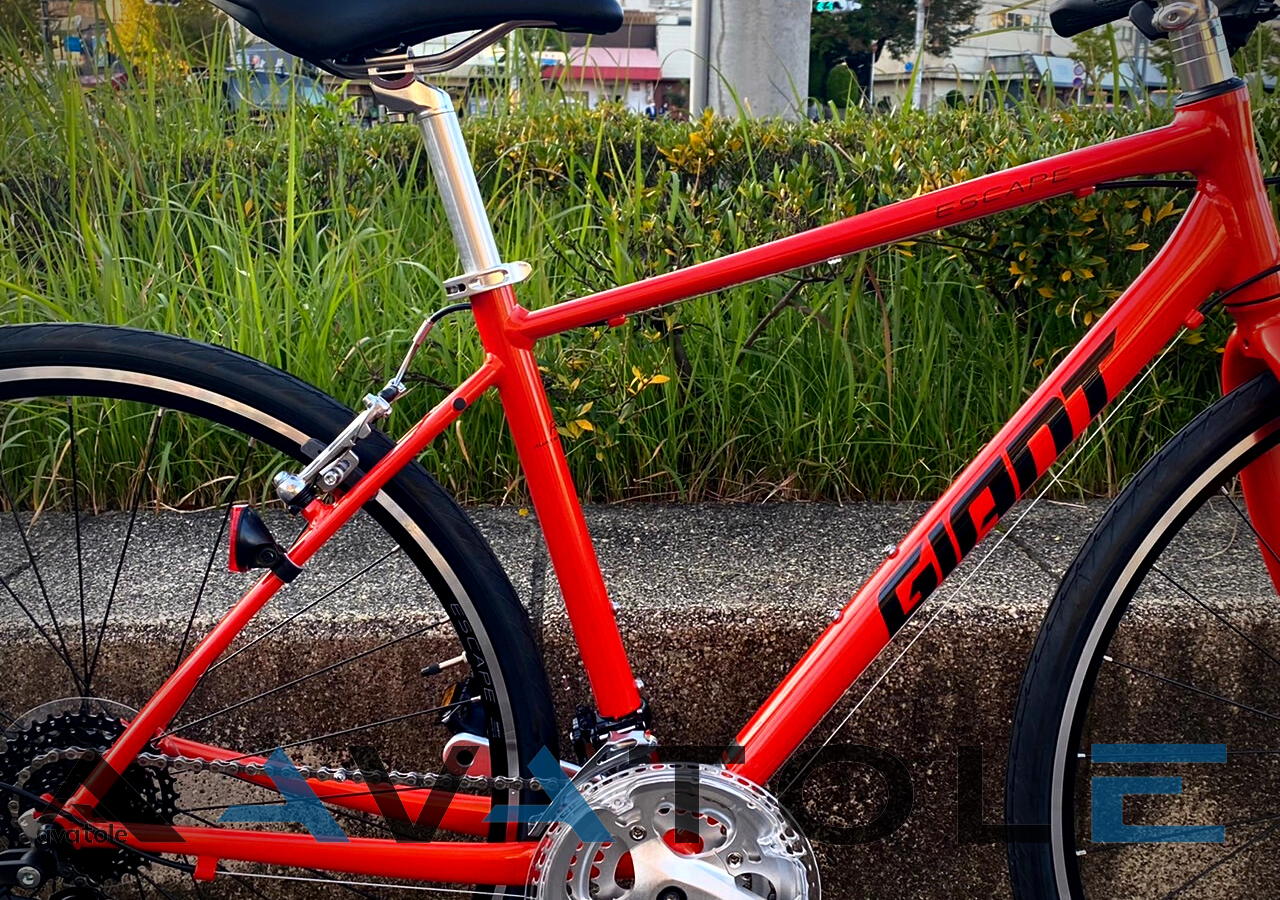 2022 Giant Escape R3-MS