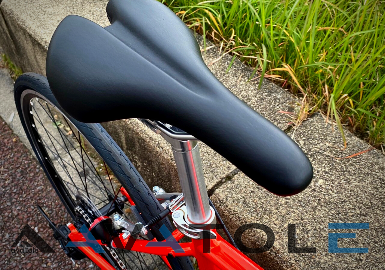 2022 Giant Escape R3-MS