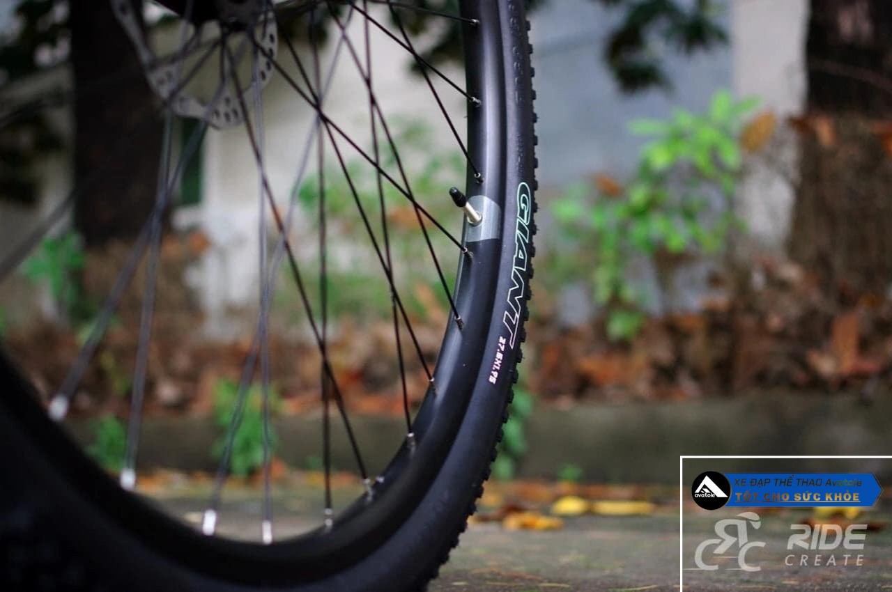 Chi tiết Giant ATX 810 | 2021