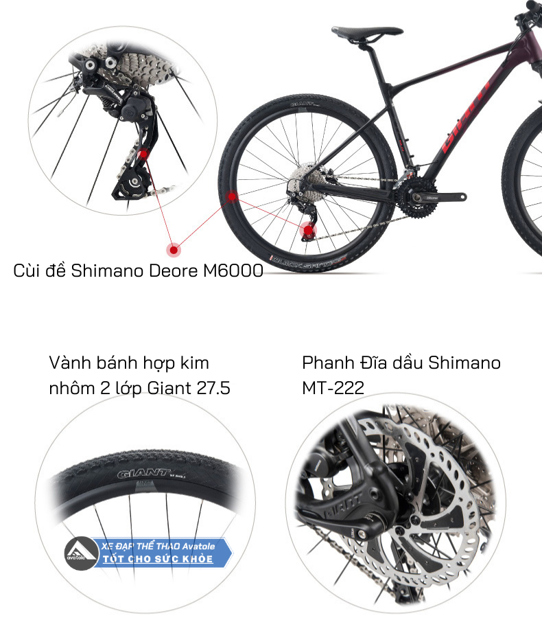 Chi tiết GIANT XTC SLR 3 2021 Chi tiết GIANT XTC SLR 3 2021