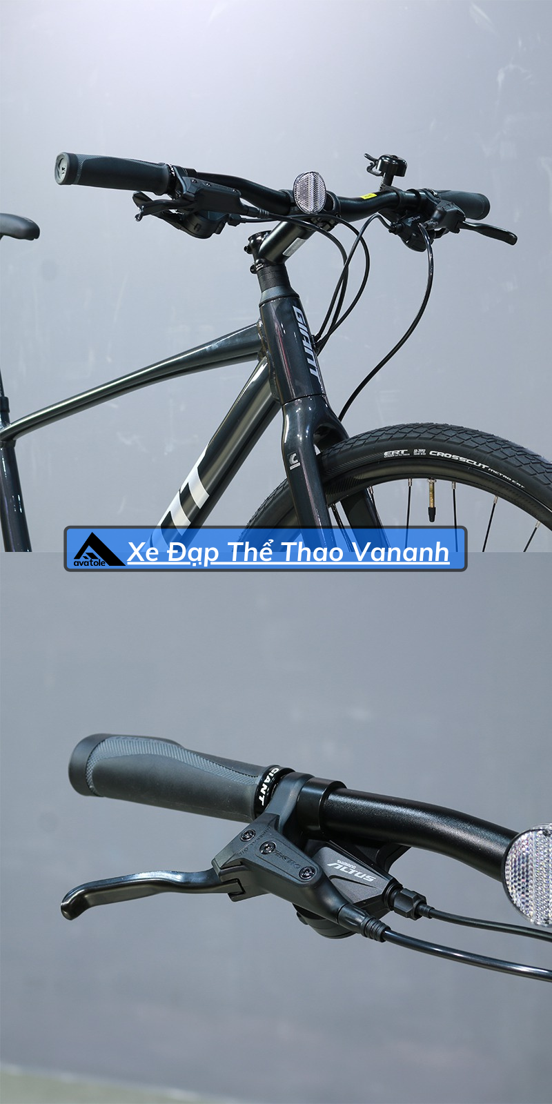 giant escape 1 disc 2021 weight