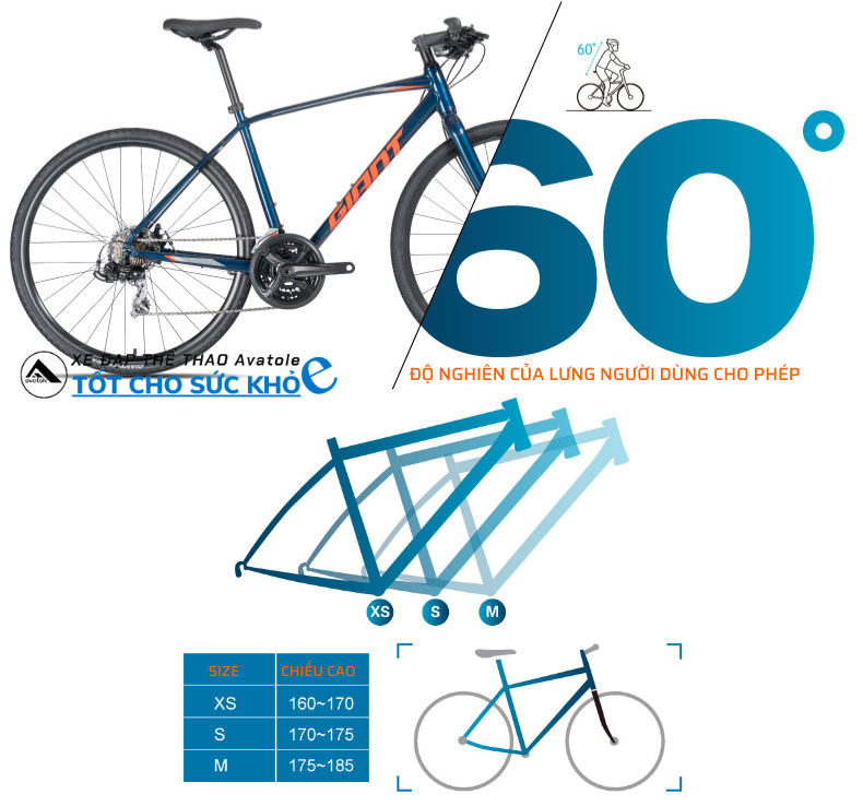 Giant Escape 2 Disc 2020 Giant Escape 2 Disc 2020