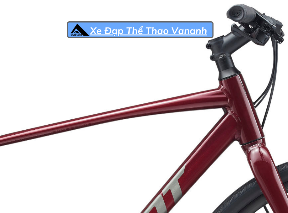 Xe Đạp Đường Trường Giant Escape 2 Disc-2021