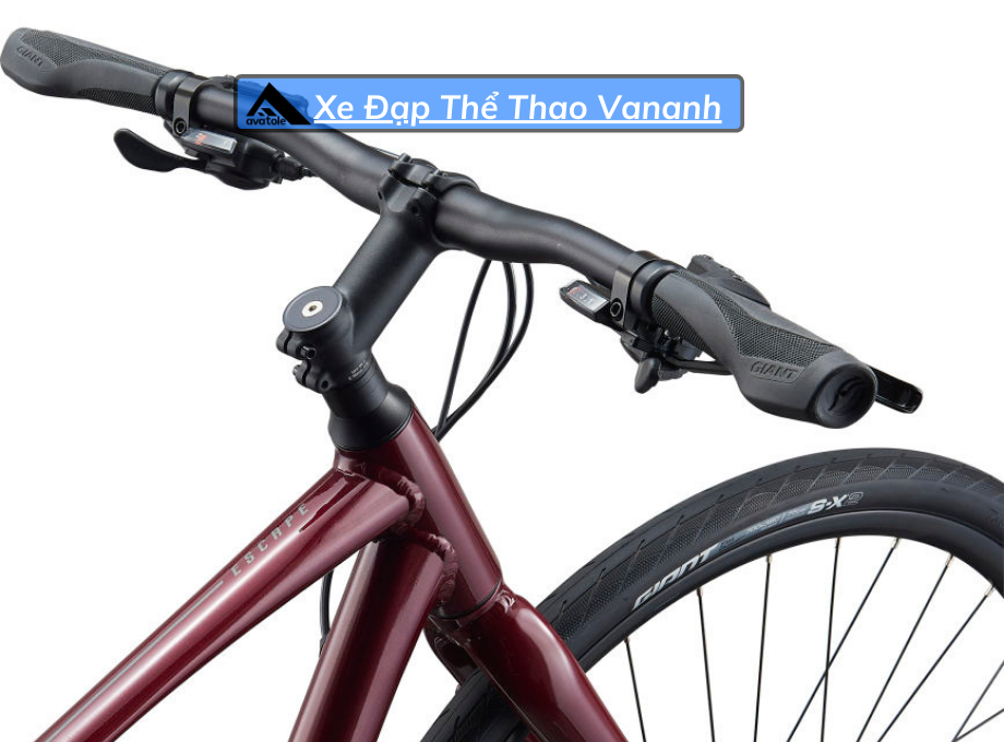 Xe Đạp Đường Trường Giant Escape 2 Disc-2021