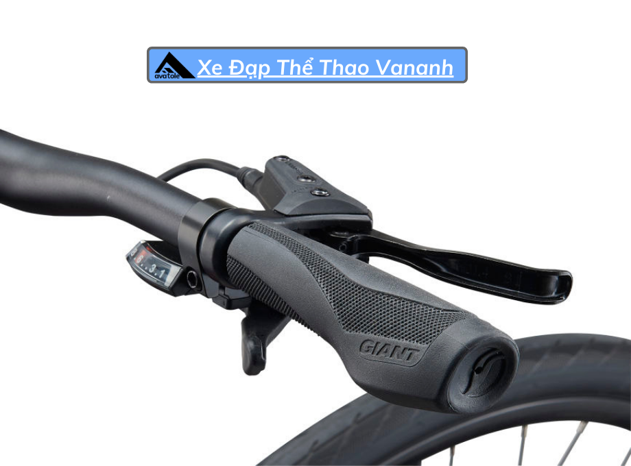 Xe Đạp Đường Trường Giant Escape 2 Disc-2021