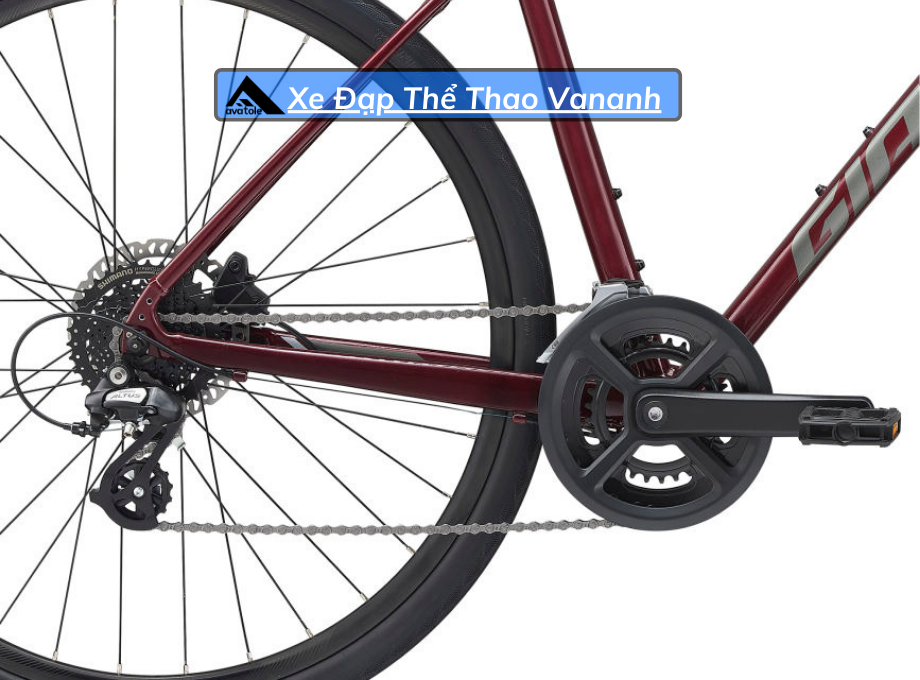 Xe Đạp Đường Trường Giant Escape 2 Disc-2021