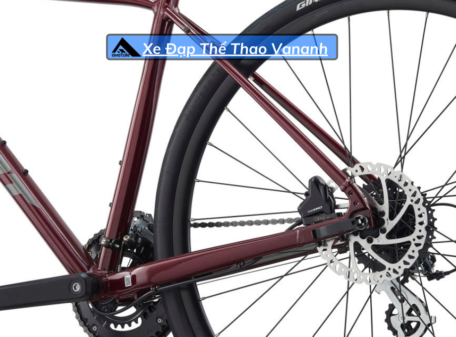 Xe Đạp Đường Trường Giant Escape 2 Disc-2021