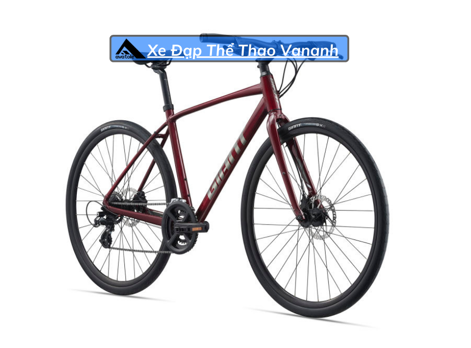 Xe Đạp Đường Trường Giant Escape 2 Disc-2021