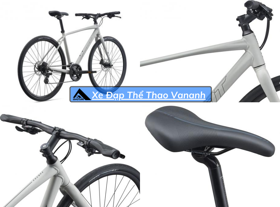 Xe Đạp Đường Trường Giant Escape 2 Disc-2021