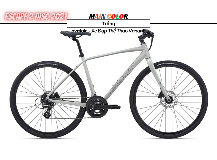 Xe Đạp Đường Trường Giant Escape 2 Disc-2021