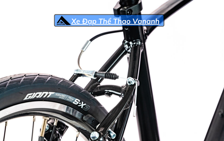 Xe Đạp Đường Trường Giant Escape 3-2020 Xe Đạp Đường Trường Giant Escape 3-2020