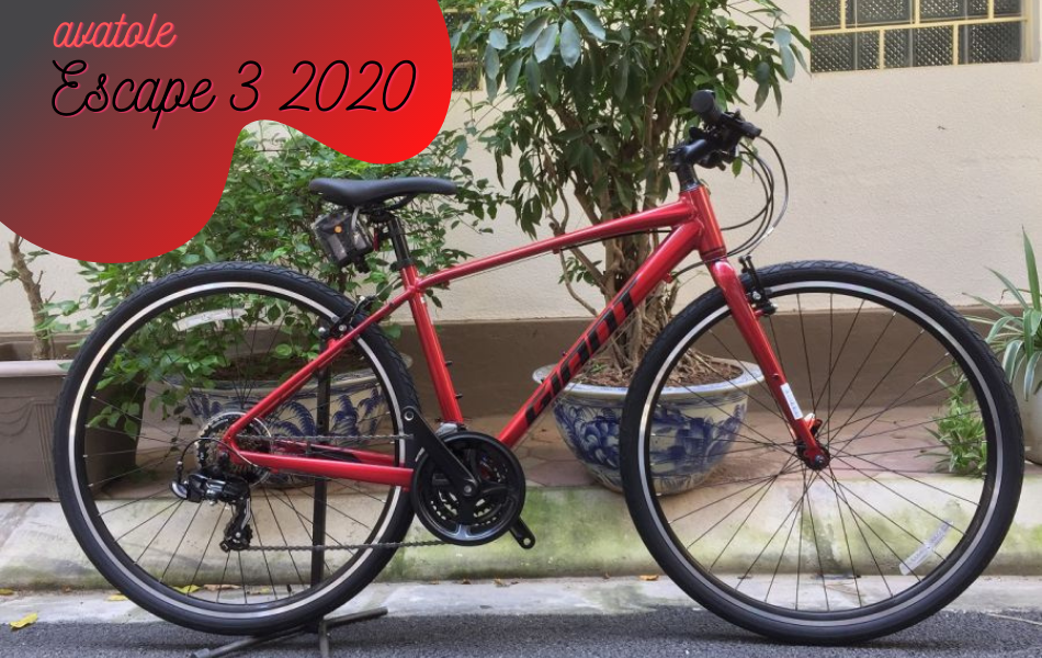 Xe Đạp Đường Trường Giant Escape 3-2020