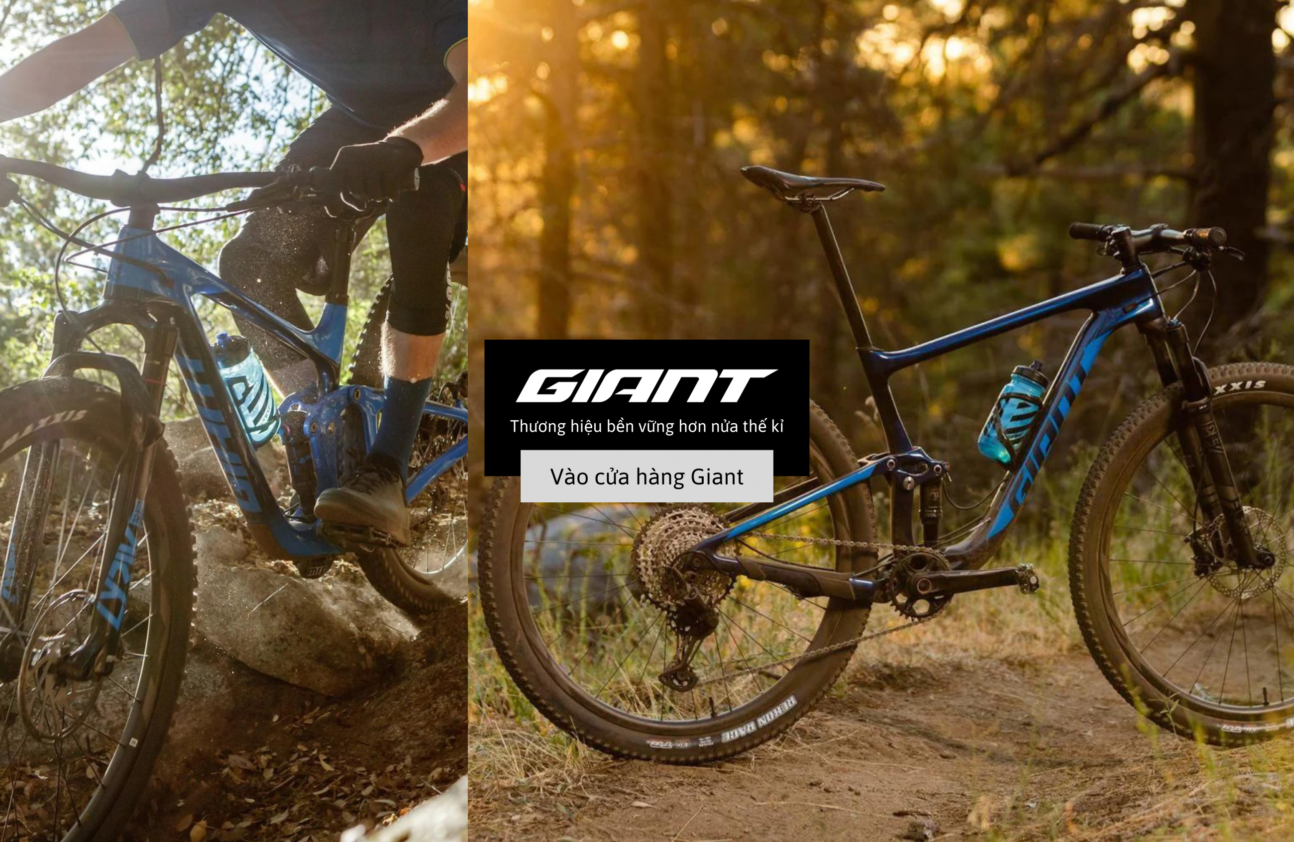 Giant thương hiệu bền vững hơn nửa thế kỉ Giant thương hiệu bền vững hơn nửa thế kỉ