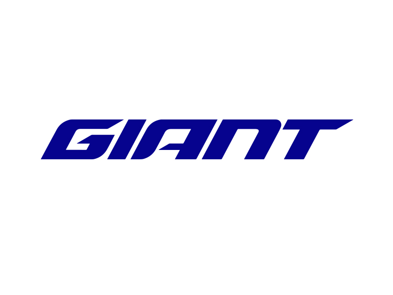 Giant bicycles