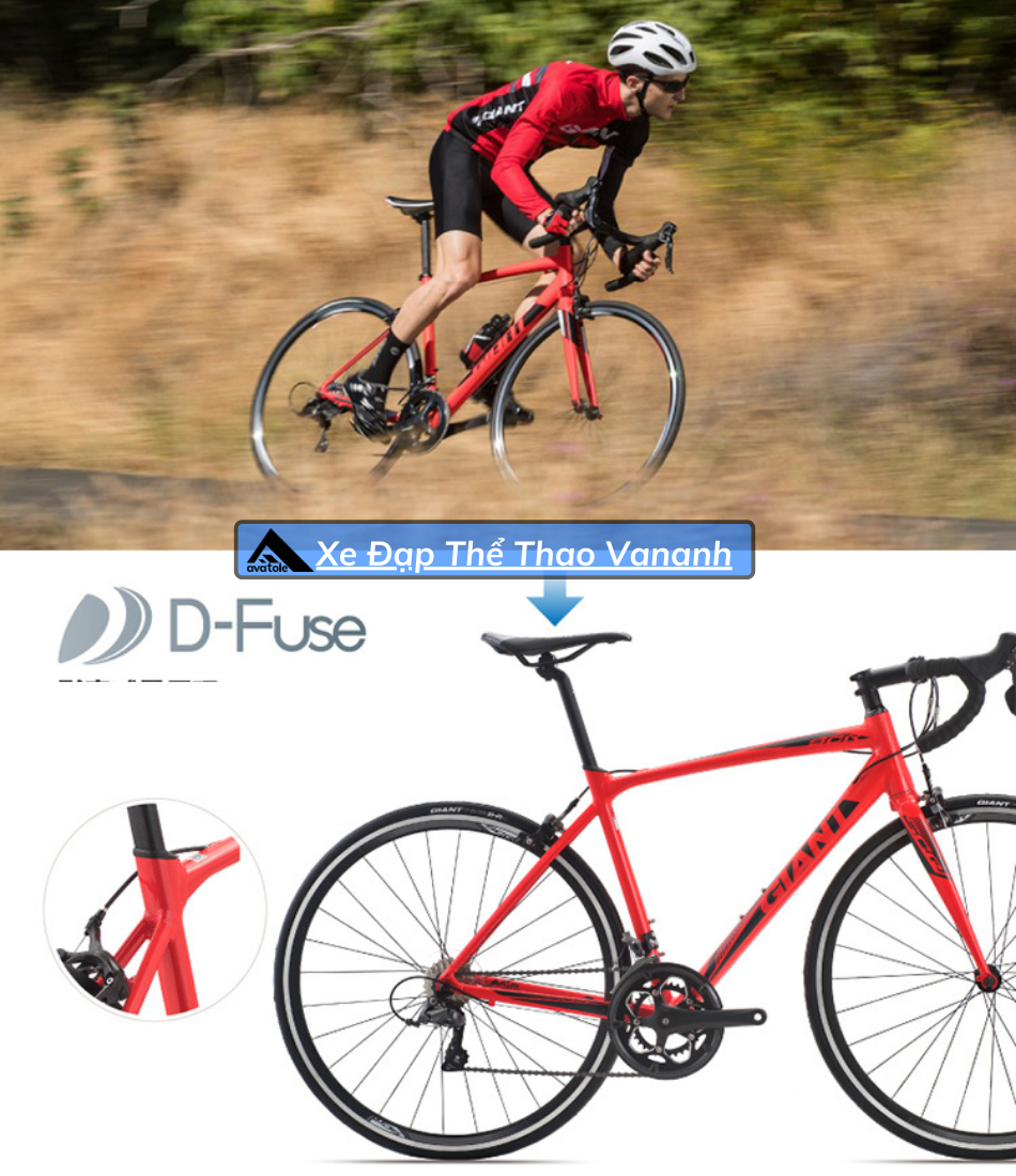 Xe Đạp Đua Giant SCR 2-2019