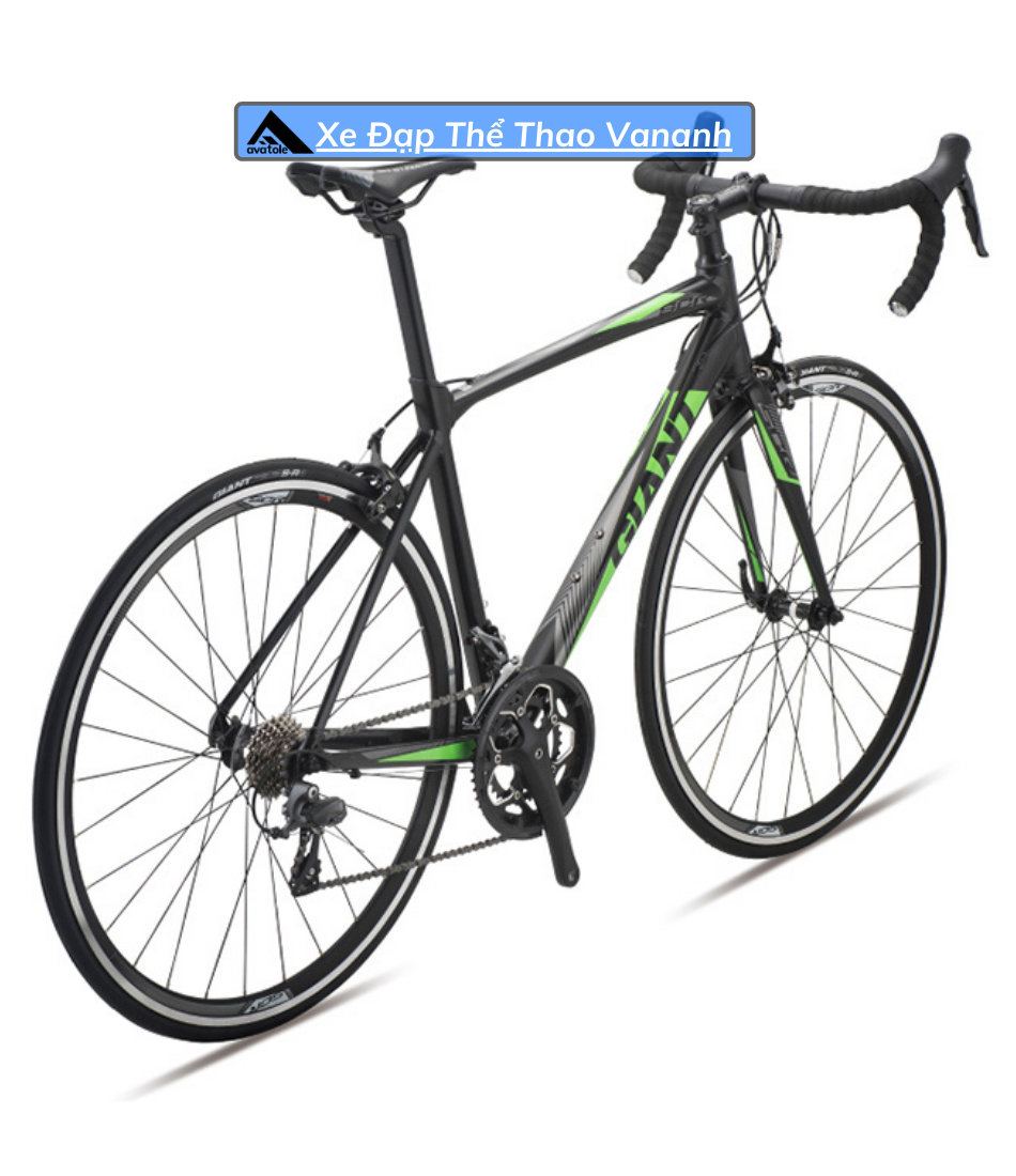 Xe Đạp Đua Giant SCR 2-2019