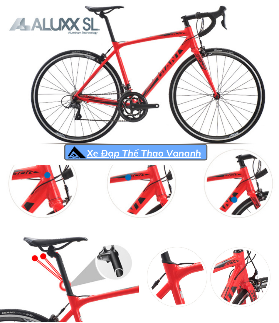 Xe Đạp Đua Giant SCR 2-2019