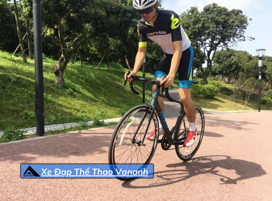 Xe Đạp Đua Giant TCR SL2 2019 Xe Đạp Đua Giant TCR SL2 2019