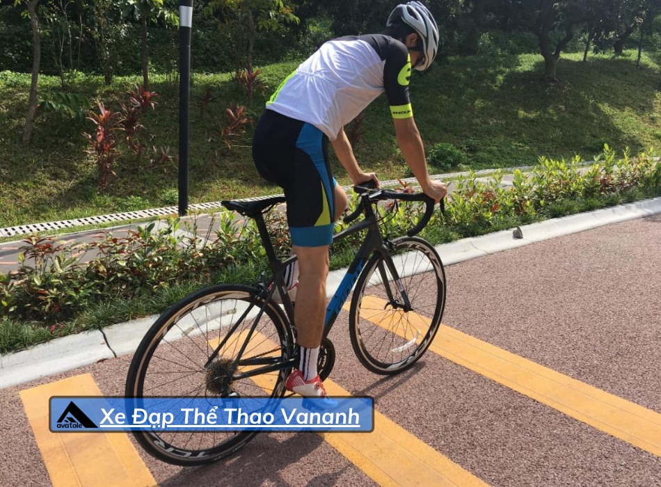 Xe Đạp Đua Giant TCR SL2 2019 Xe Đạp Đua Giant TCR SL2 2019