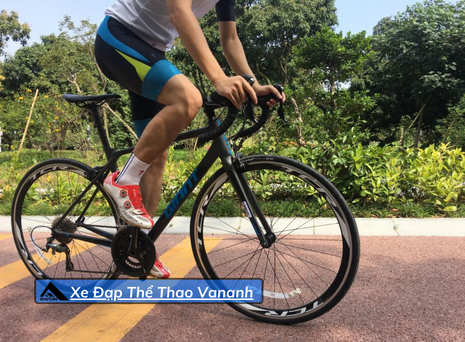 Xe Đạp Đua Giant TCR SL2 2019 Xe Đạp Đua Giant TCR SL2 2019