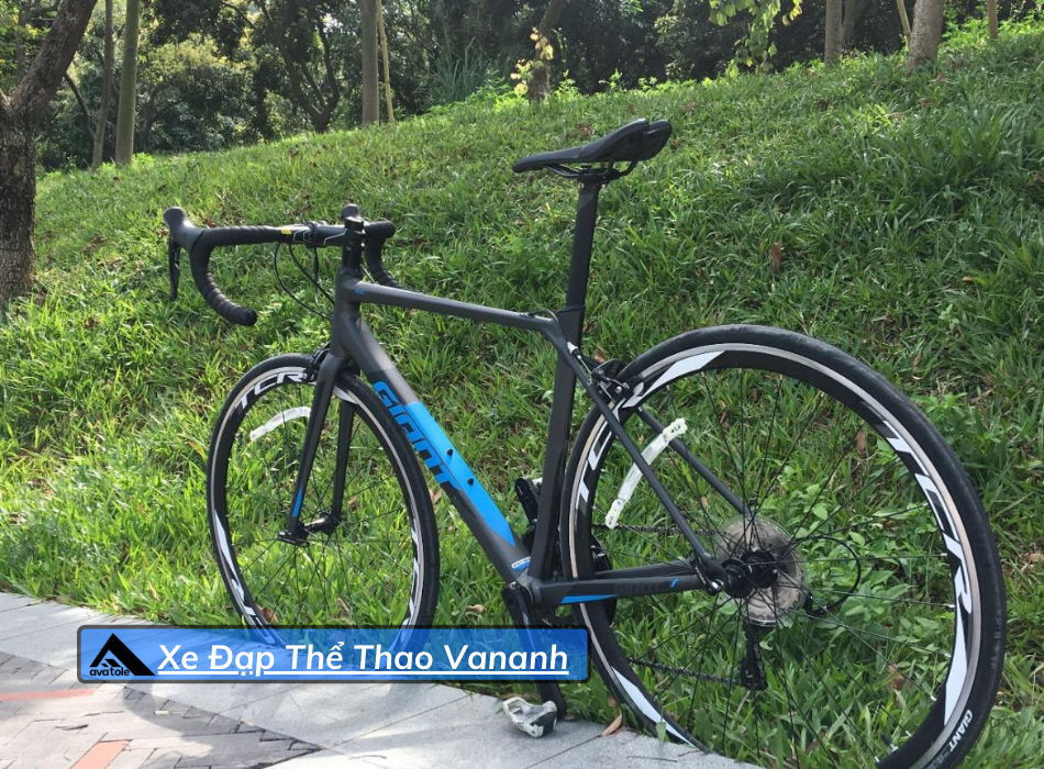 Xe Đạp Đua Giant TCR SL2 2019 Xe Đạp Đua Giant TCR SL2 2019