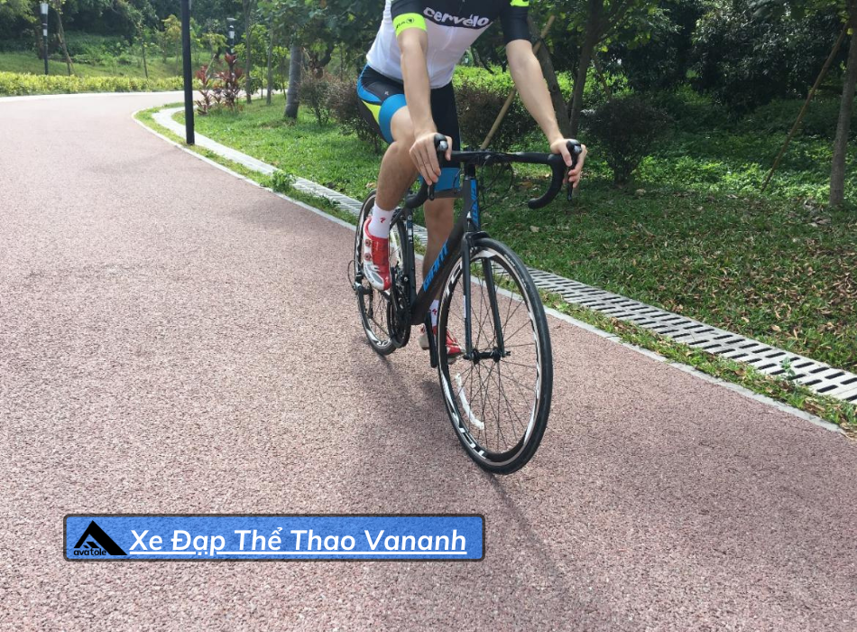 Xe Đạp Đua Giant TCR SL2 2019 Xe Đạp Đua Giant TCR SL2 2019